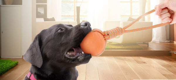 Jucărie pentru câini - frânghie cu minge