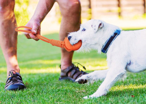 Jucărie pentru câini - frânghie cu minge