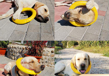 Гумена играчка за дъвчене подходяща за кучета