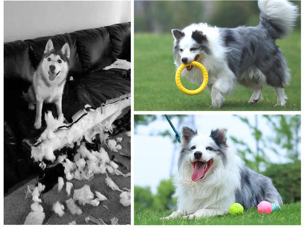 Gumena igračka za žvakanje pogodna za pse