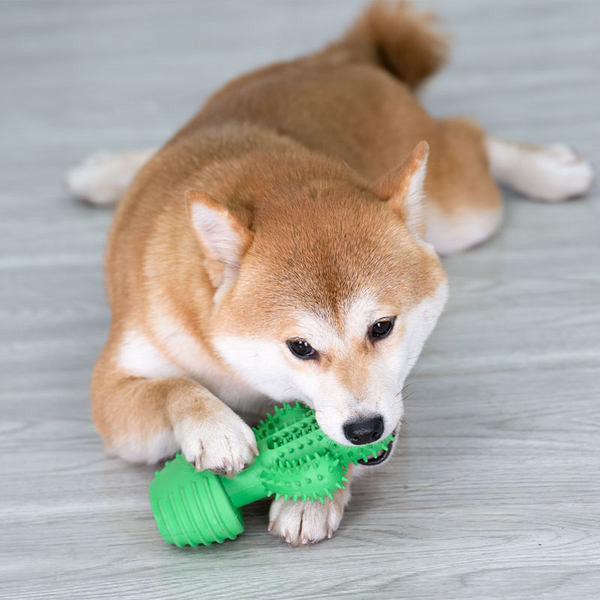 Pseća igračka za pranje zuba