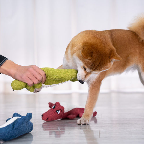 Κλωστοϋφαντουργικό παιχνίδι για σκύλους