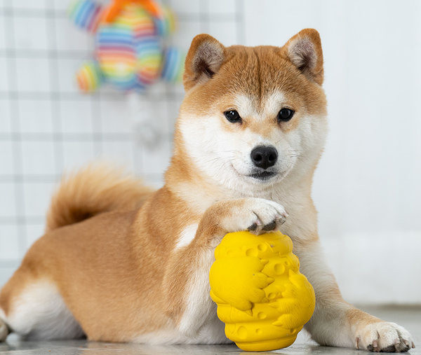 Παιχνίδι για σκύλους σε κίτρινο χρώμα