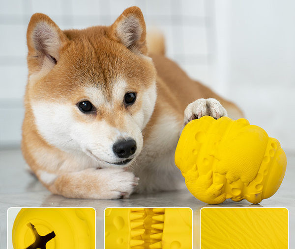Παιχνίδι για σκύλους σε κίτρινο χρώμα