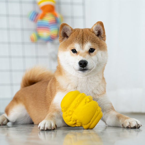 Παιχνίδι για σκύλους σε κίτρινο χρώμα