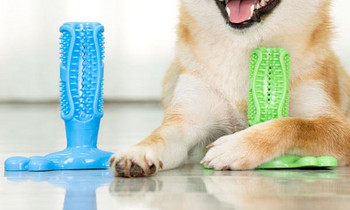 Λαστιχένιο παιχνίδι για το βούρτσισμα των δοντιών - κατάλληλο για σκύλους
