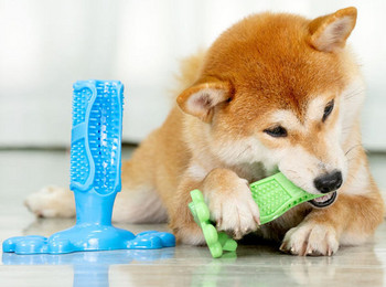 Λαστιχένιο παιχνίδι για το βούρτσισμα των δοντιών - κατάλληλο για σκύλους