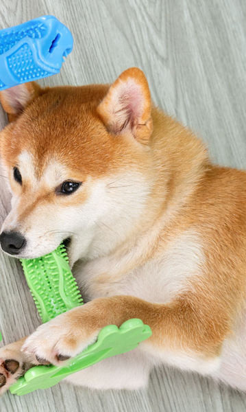 Jucărie din cauciuc pentru periajul dinților – potrivită pentru câini