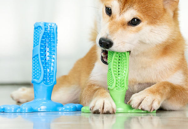 Jucărie din cauciuc pentru periajul dinților – potrivită pentru câini