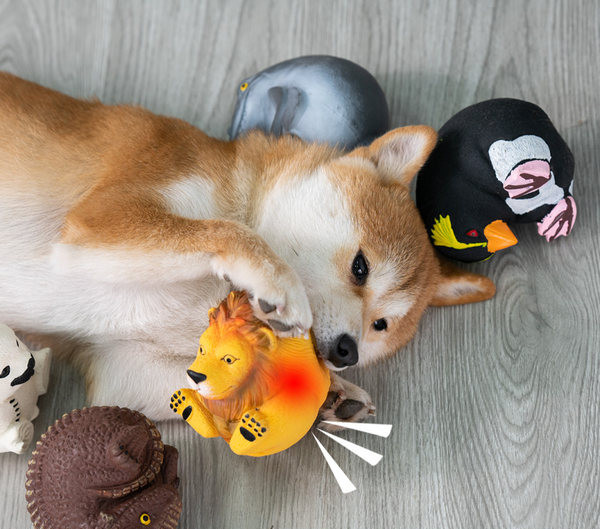 Jucărie din silicon în formă de animale pentru câini