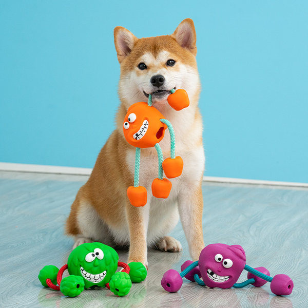 Jucărie durabilă pentru câini