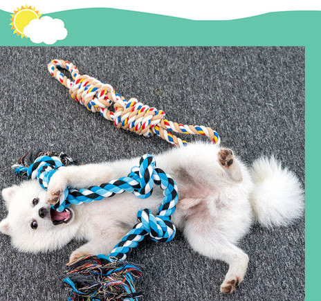 Mänguköis koertele