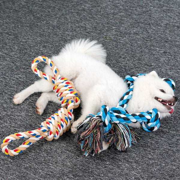 Mänguköis koertele