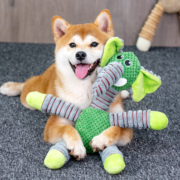 Žaislas šunims – kramtymui