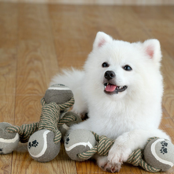 Παιχνίδι για σκύλους - σχοινί