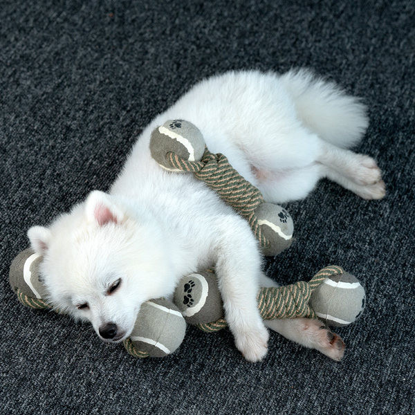 Παιχνίδι για σκύλους - σχοινί