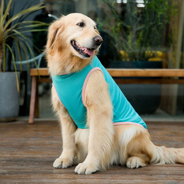Bluză de vară diferite culori - pentru câini mari