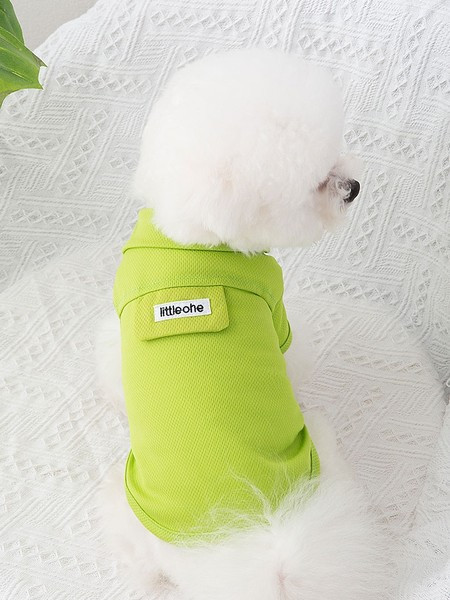 Bluză cu inscripție în mai multe culori