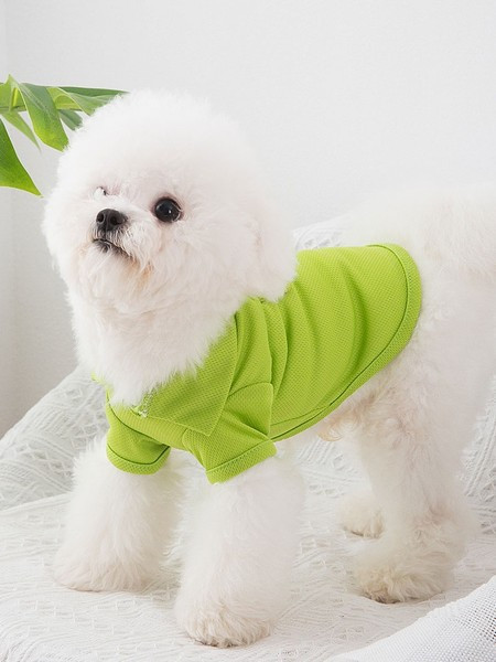 Bluză cu inscripție în mai multe culori