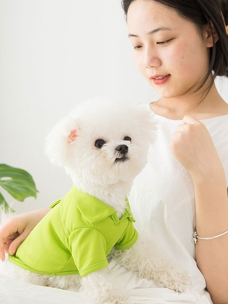 Bluză cu inscripție în mai multe culori