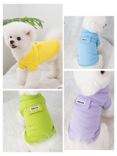 Bluză cu inscripție în mai multe culori