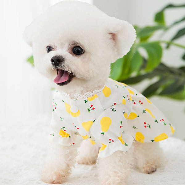 Rochie cu dantela pentru caini