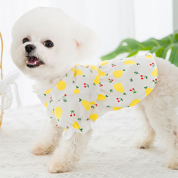 Rochie cu dantela pentru caini