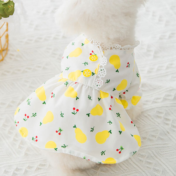 Rochie cu dantela pentru caini