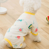 Corp pentru caini cu model colorat