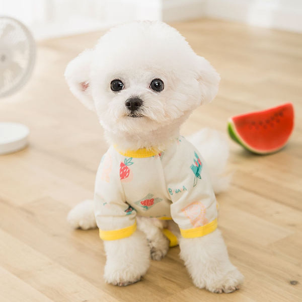 Corp pentru caini cu model colorat