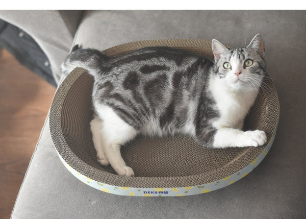 Scarlet pisici din hartie ondulata - mai multe modele