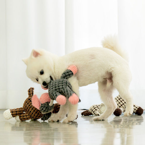 Kramtomas žaislas tinkamas šunims