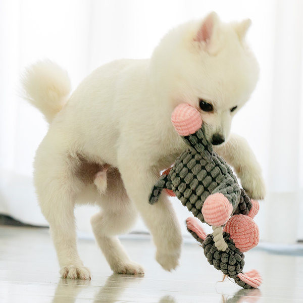 Kramtomas žaislas tinkamas šunims