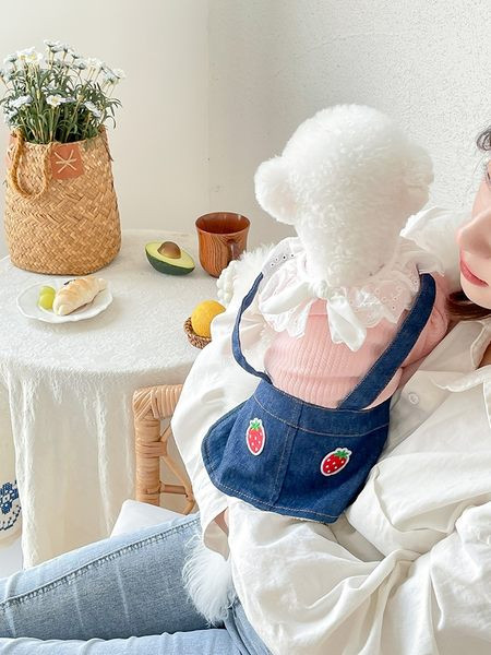 Rochie pentru caini cu broderie