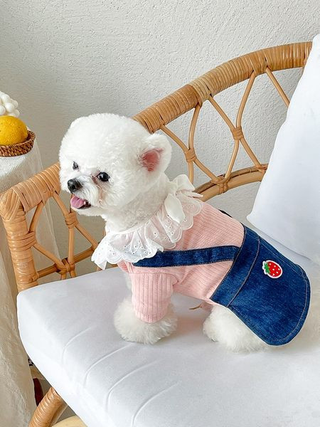 Rochie pentru caini cu broderie