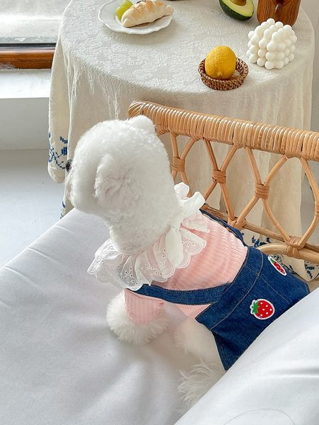 Rochie pentru caini cu broderie