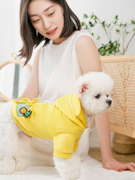 Jacheta pentru caini in doua culori