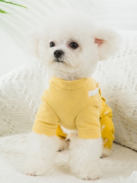 Летен гащеризон за кучета с апликация