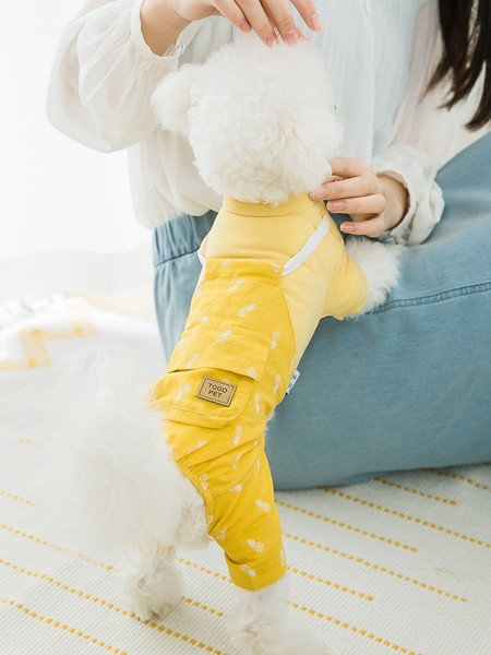 Летен гащеризон за кучета с апликация