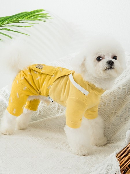 Летен гащеризон за кучета с апликация