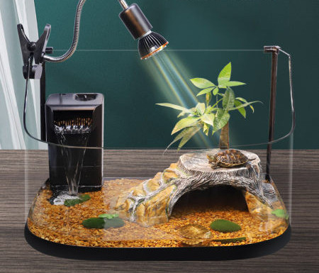 Διακόσμηση ενυδρείου