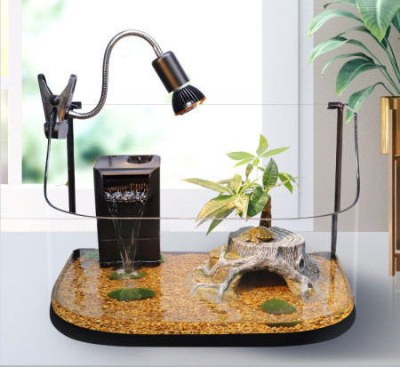 Διακόσμηση ενυδρείου