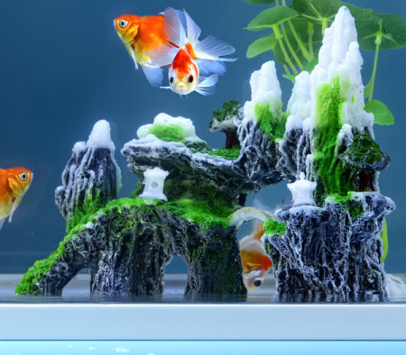 Decorarea acvariului în formă de stâncă - diferite modele