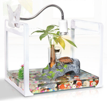 Decorarea acvariului insular