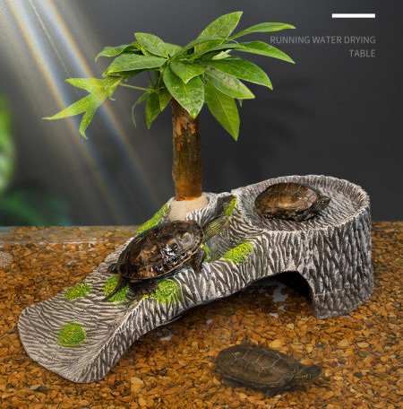 Decorarea acvariului insular