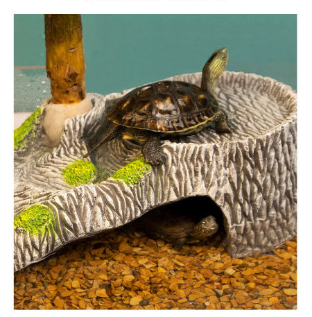 Decorarea acvariului insular