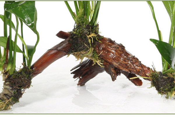 Plante artificiale pentru acvariu