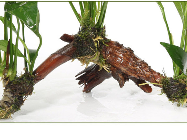 Kunsttaimed akvaariumi kaunistamiseks