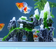 Akvaariumi kaunistamine - erinevad mudelid