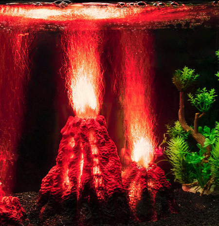 Decorarea acvariului mai multe modele